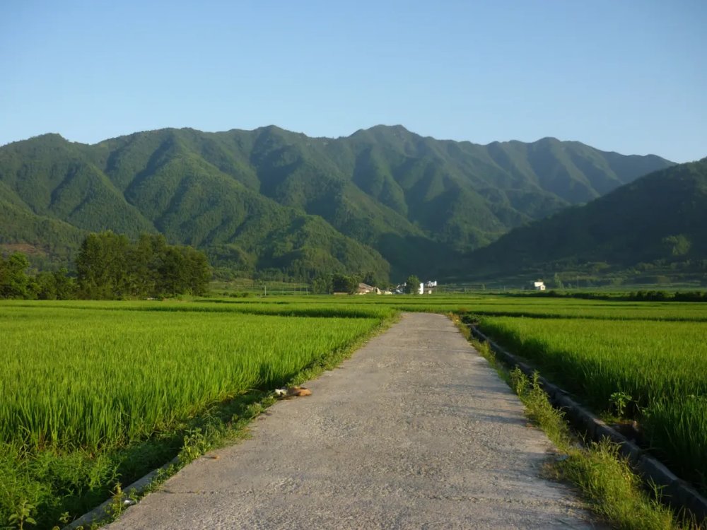 現金網：越來越同質化的城市，該去村裡找霛感