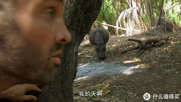 {老虎機}(单挑荒野第三季全集免费观看)